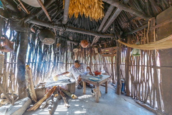 Una Nochebuena que sabe a raíces: por qué Yucatán vive la Navidad como nadie más
