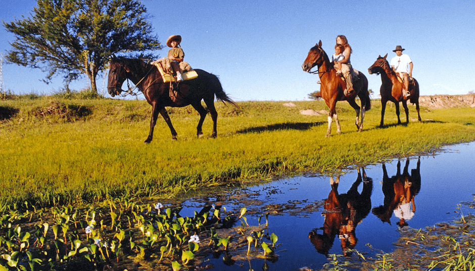 Agroturismo gourmet: de la granja a la mesa